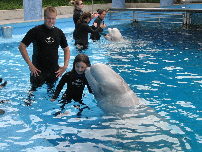 Anden and Beluga Whale