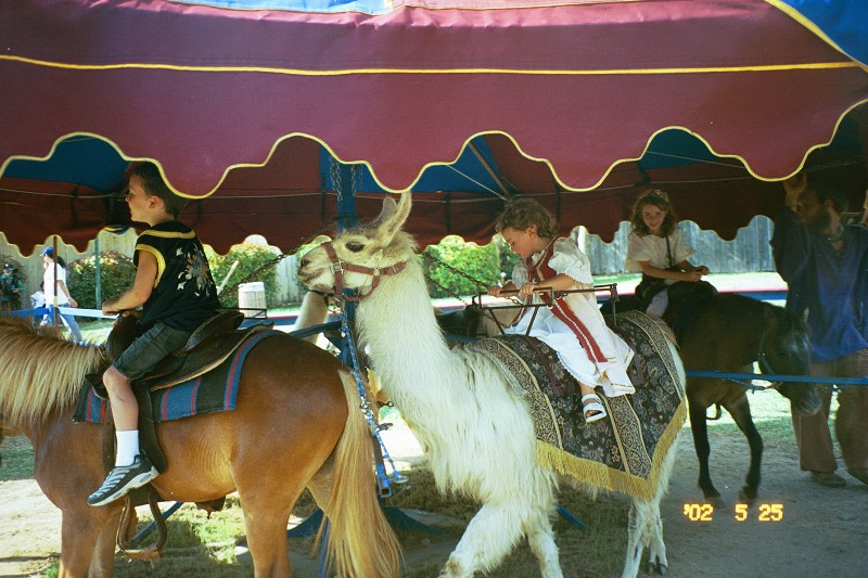 Rachel is going on a Llama ride (2002)