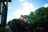 Klea, Anna and Sara Van Newkirk on the Elephant ride. They are good friends of us from Ohio