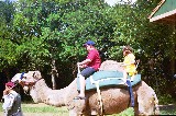 Anna VanNewkirk is taking a Camel ride