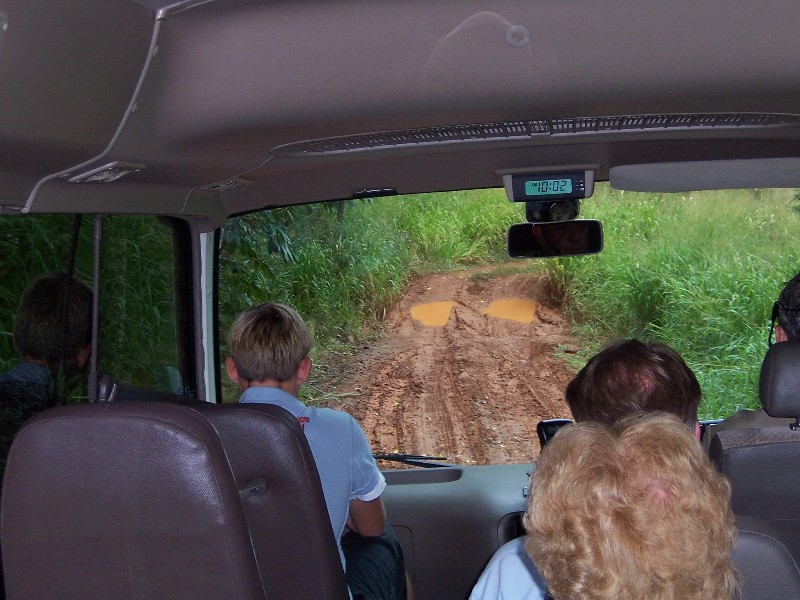 This is a typical dirt road in the rain forest