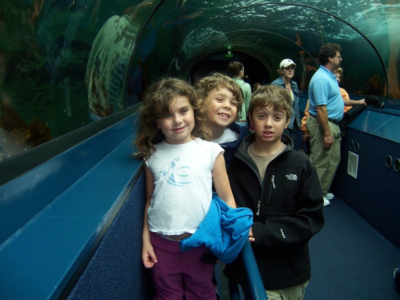 Sydney Aquarium was huge. It had a very large aquarium with tunnels going through it that you could walk through.