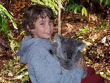 David holding a Koala