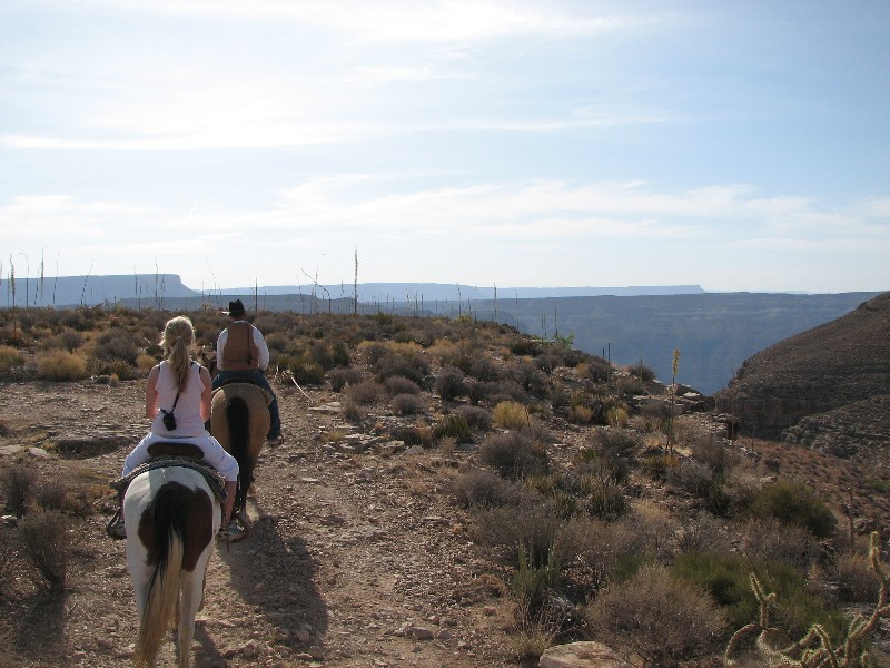 Horse back riding by the Grand Canyon