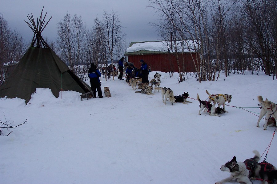 The Dogsled Tour stopped at a Sami tent called a Kta. Sami are North Swedish aboriginies