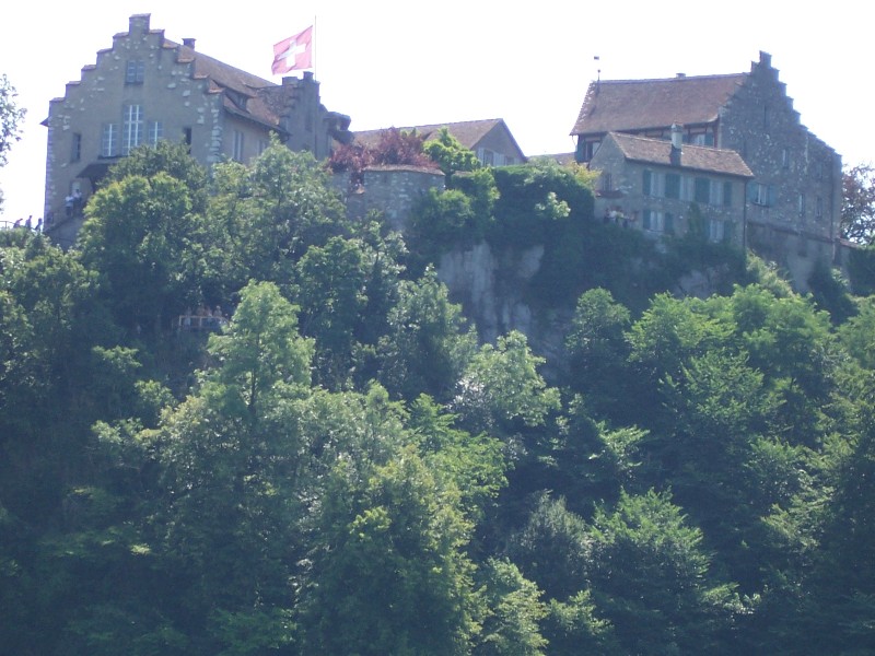The Castle by Rheinfall