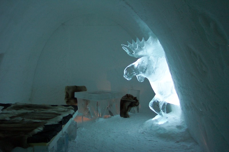 This Ice Moose was in one of the rooms