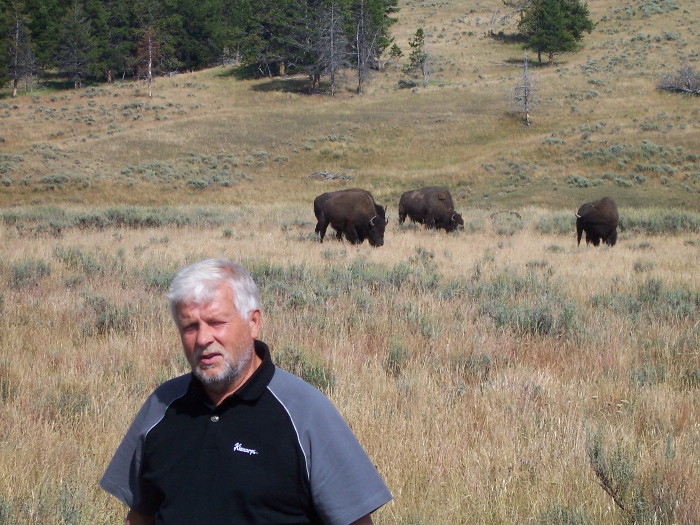My dad, Stig, in front of Buffalos.
