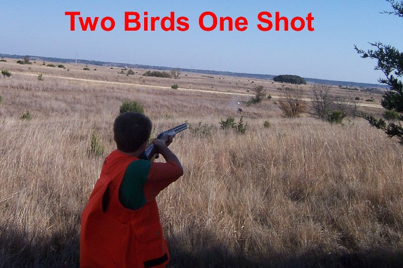Two birds one shot