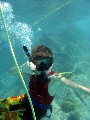 Snuba diving at St. Thomas