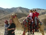 Camel riding in Israel