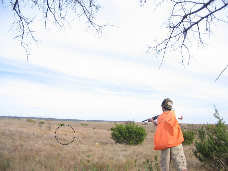 Hunting at Rough Creek. Kelan is shooting. The circle shows where the bird is