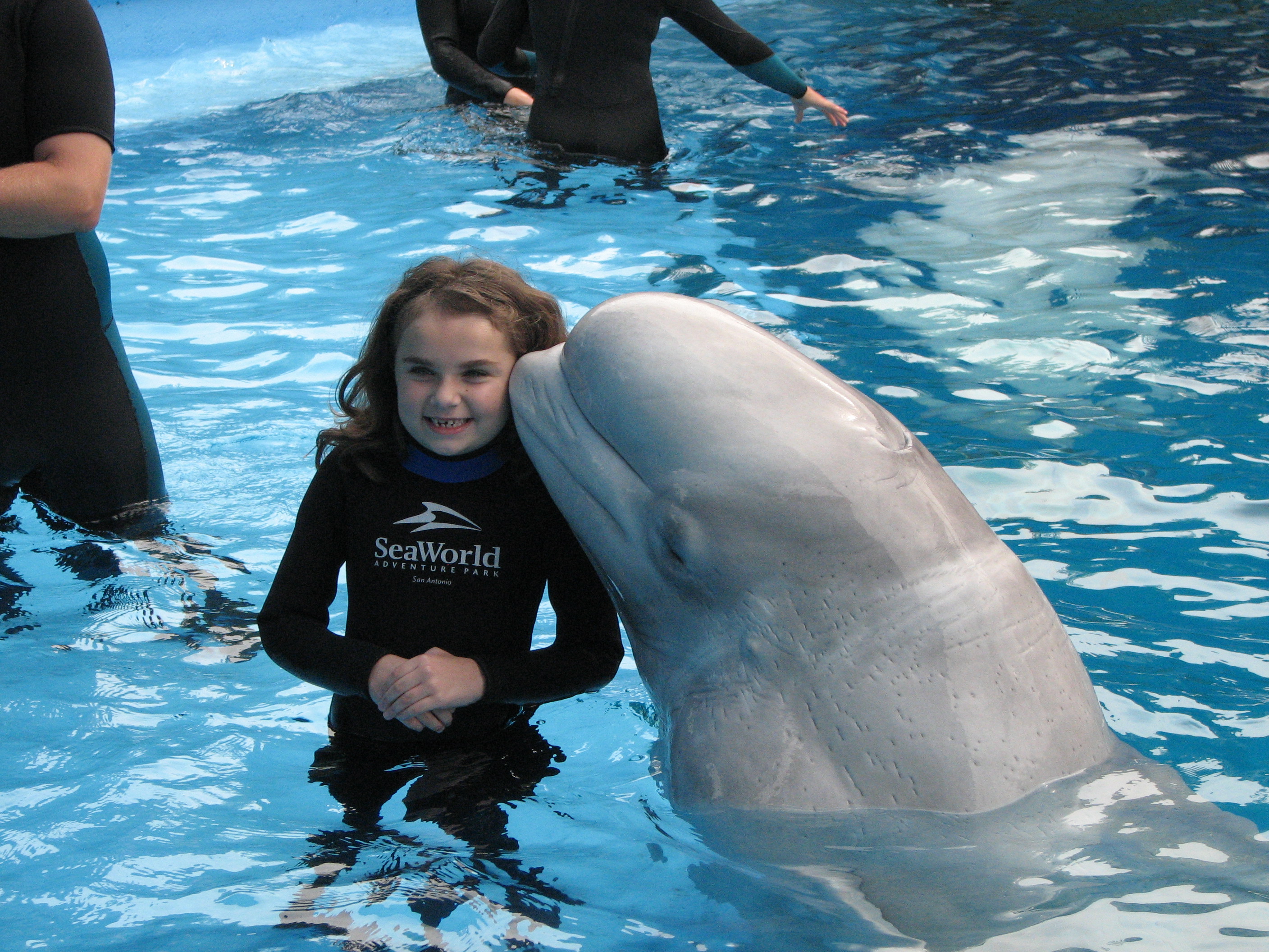 Rachel and Beluga Whale