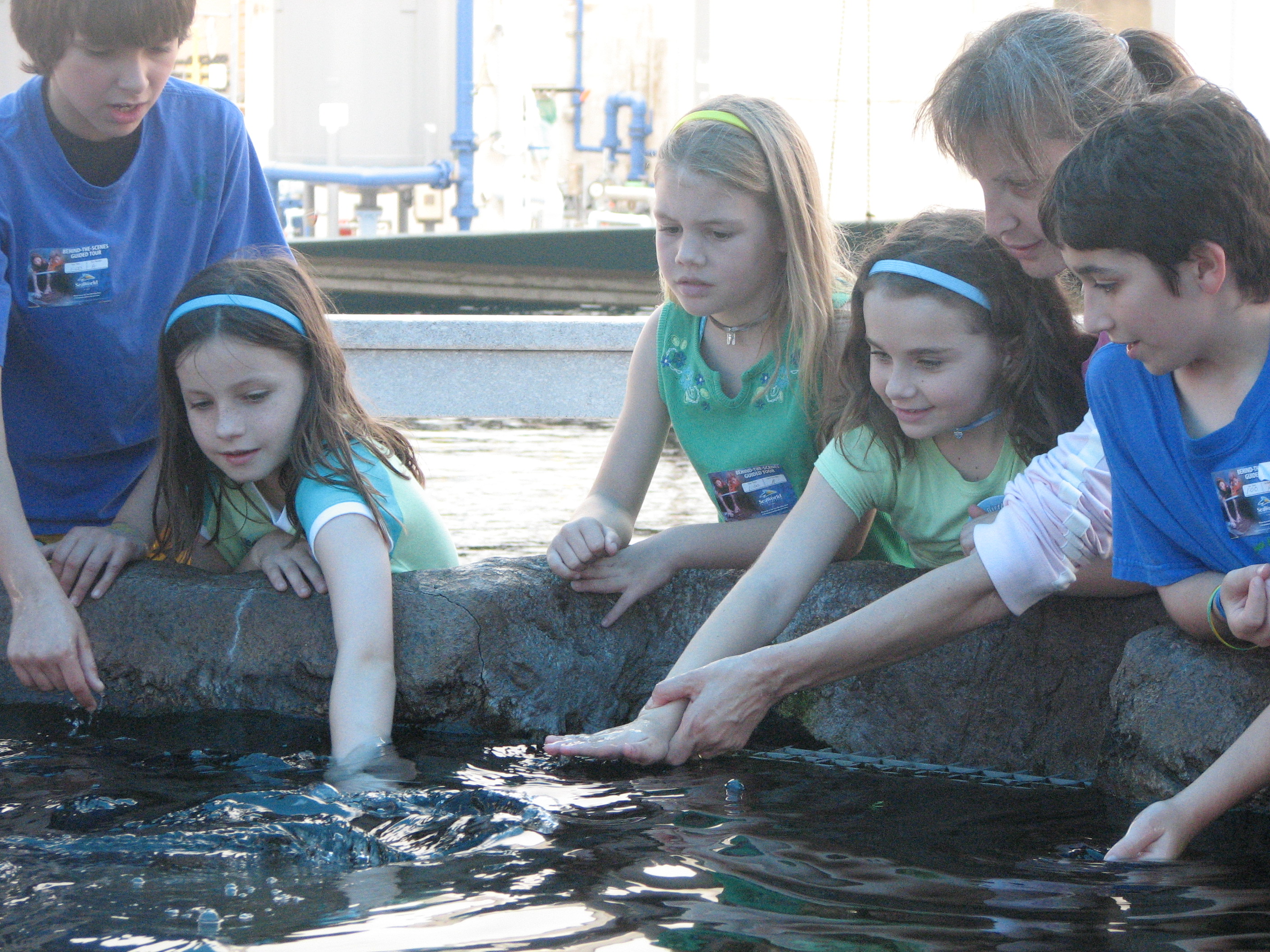 Touching sting rays