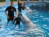 Anden and Beluga Whale