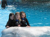 Anden, Rachel and MacKenzie with a Beluga Whale
