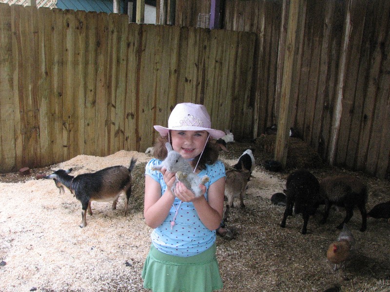 Rachel at petting zoo at Scarborough Faire