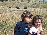 David and Rachel and Buffalos in Yellowstone National Park.