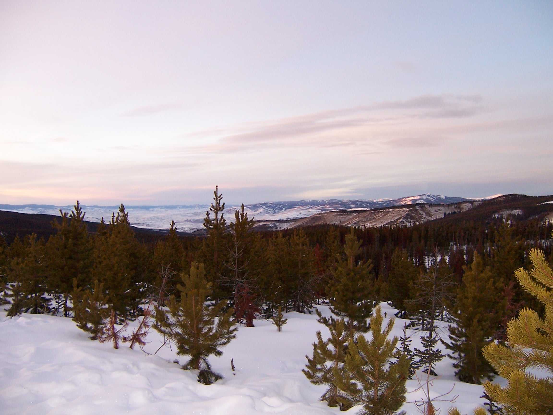 A Colorado View (2004)