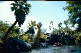 Ultrasaurus showing up during the Jurassic Park ride
