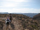 Horse back riding by the Grand Canyon