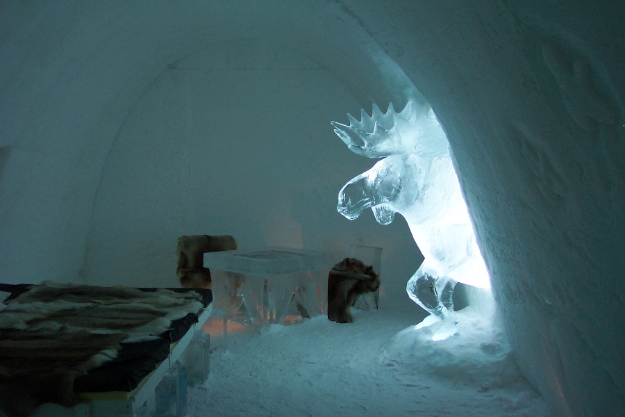 A moose in one of the rooms in the Ice Hotel