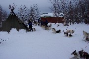 The Dogsled Tour stopped at a Sami tent called a Kåta. Sami are North Swedish aboriginies