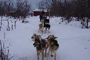 We went on a dogsled tour and after this stop we continued on our way