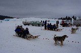 Time for our dog sled tour. Notice the Ice Hotel in the background