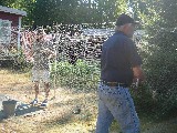Hundreds of Herrings in a net