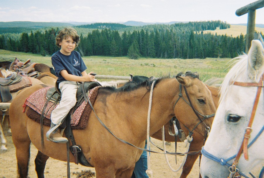 David on a horse