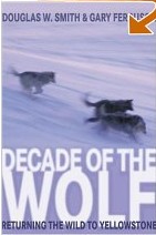 Decade of the Wolf