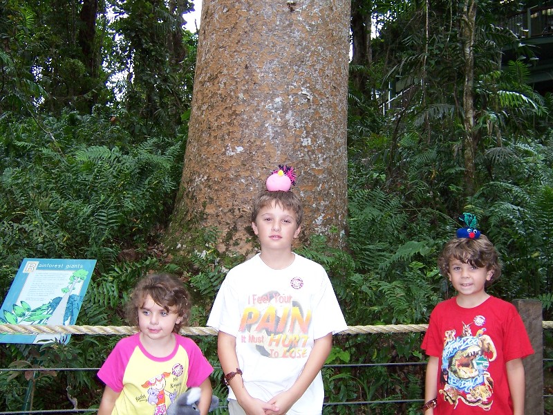 Rainforest dudes in the North Australian rainforest