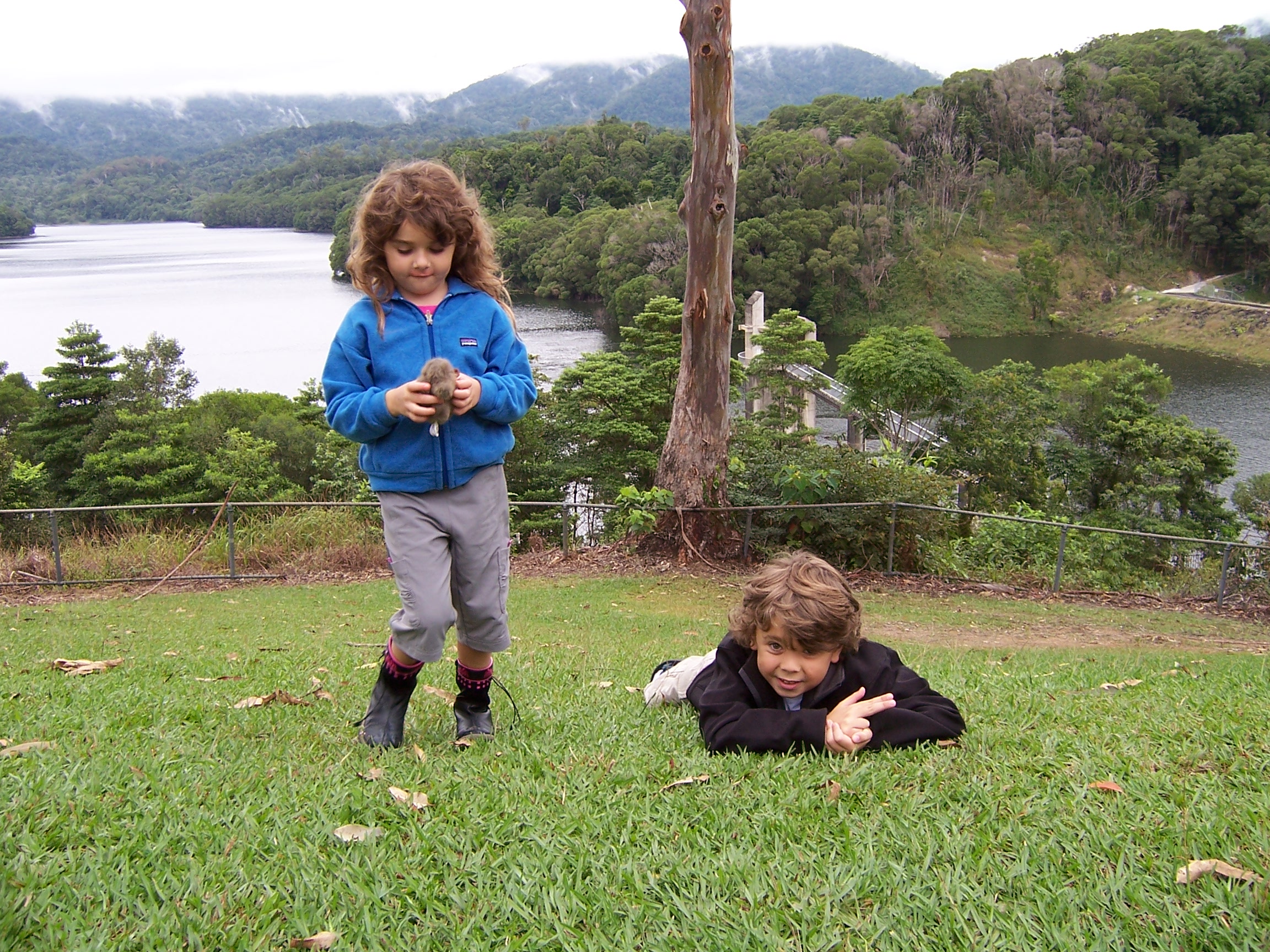 This freshwater lake is the freshwater source for Cairns. It is high up in the mountains in the rain forest.