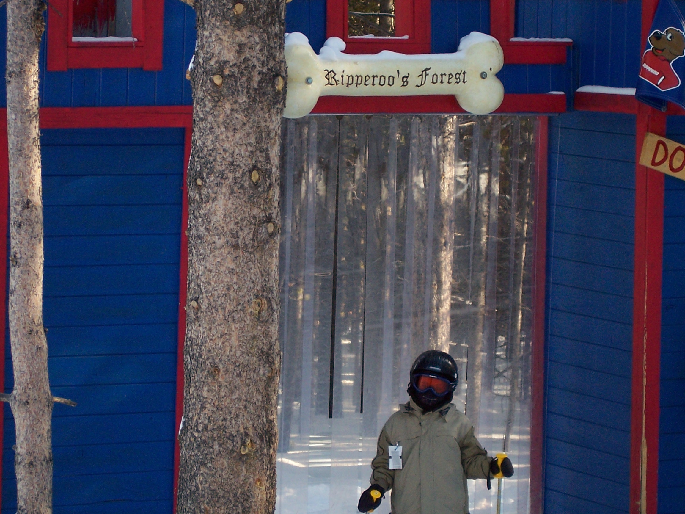 Ripperoo's Forest was a fun off pist track with bridges, cabins, decorated trees, and figures (2004)