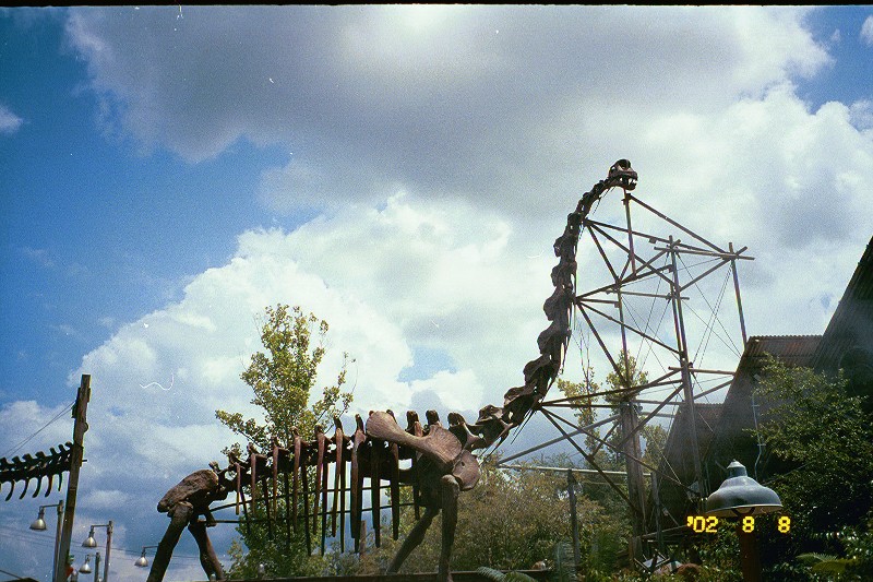 This was a real Dinosaur skeleton from a Natural History museum