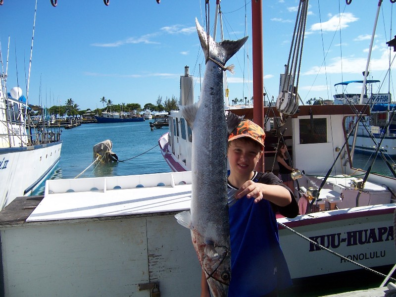 Barracuda