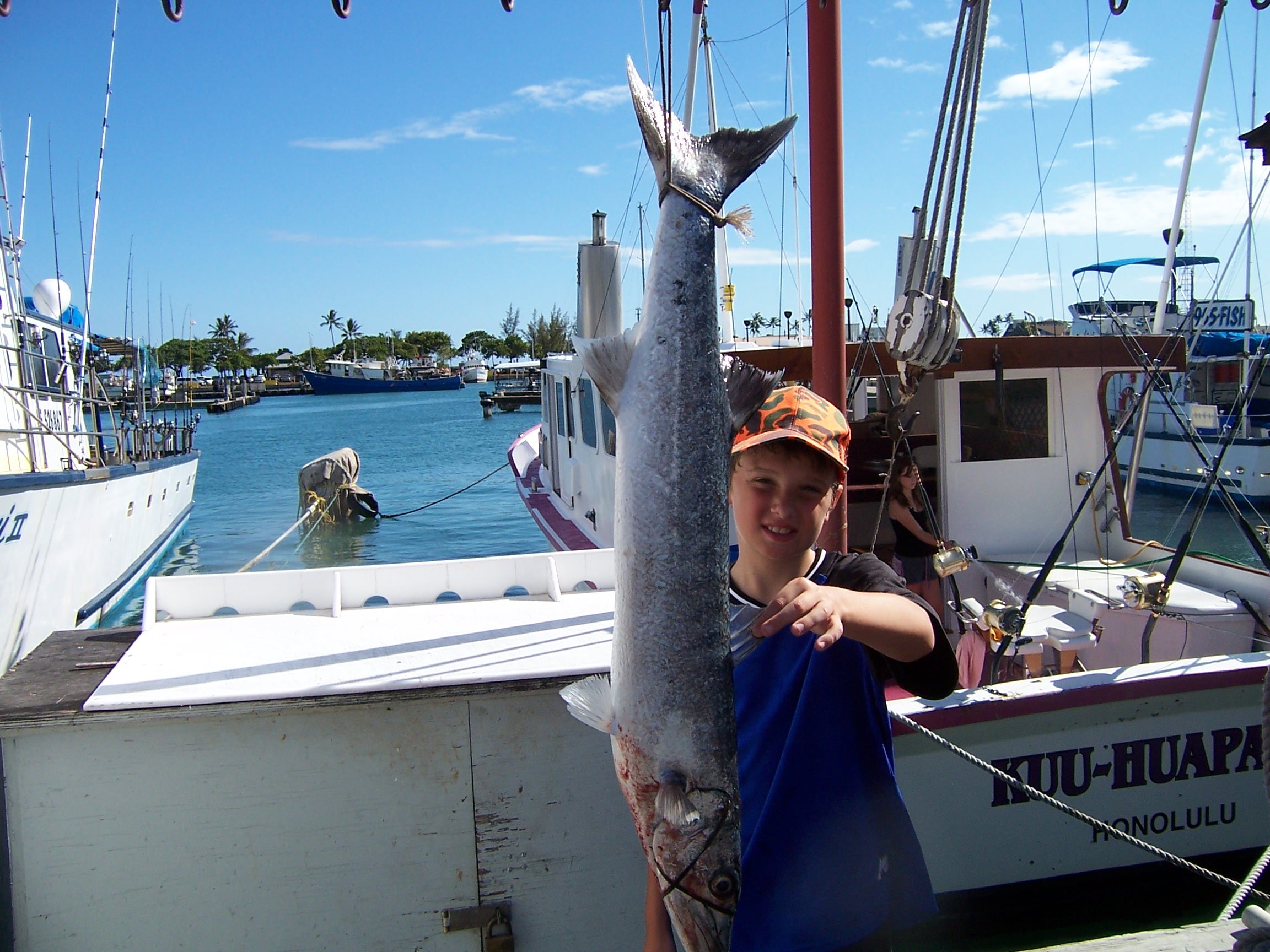 Barracuda.