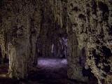 There are many interesting smaller cave rooms in the Carlsbad Caverns