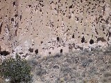 Bandalier Canyons contained hundreds of cave dwellings and rock buidings