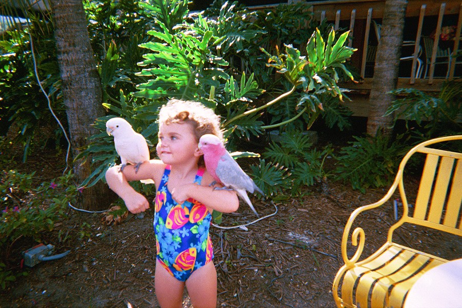 Rachel with Parrots. There was a Parrot show on the Beach and the kids were allowed to interact with the Parrots