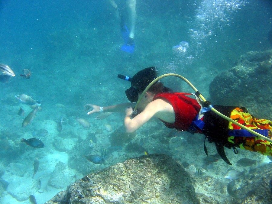 Jacob and I went Snuba diving. Snuba means that you go under water but you don't use a tank, you use a hose attached to a floating tank