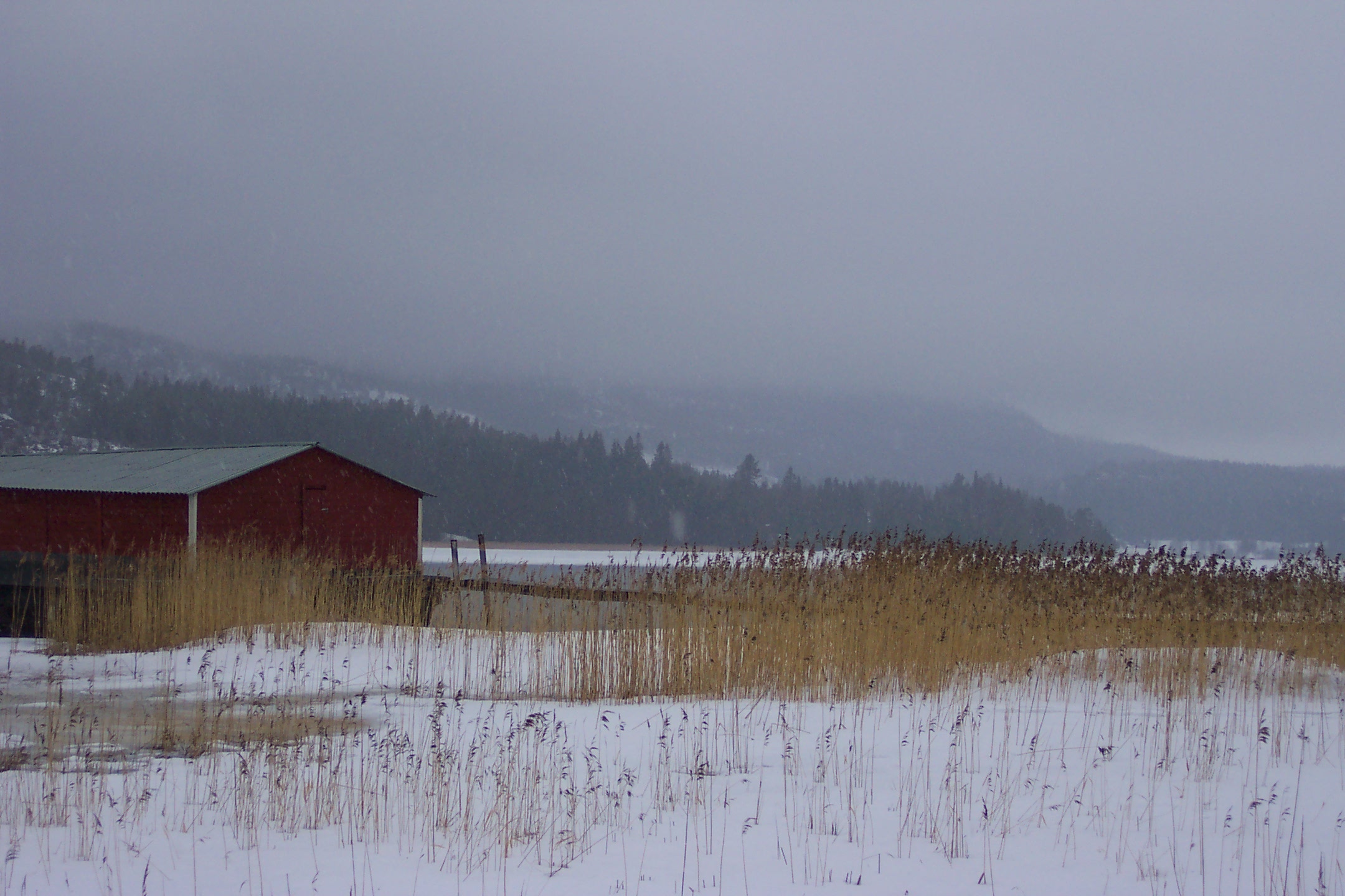 The barge nearby Stigs cabin