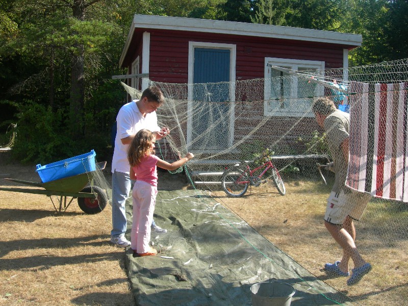 Hundreds of Herrings in a net