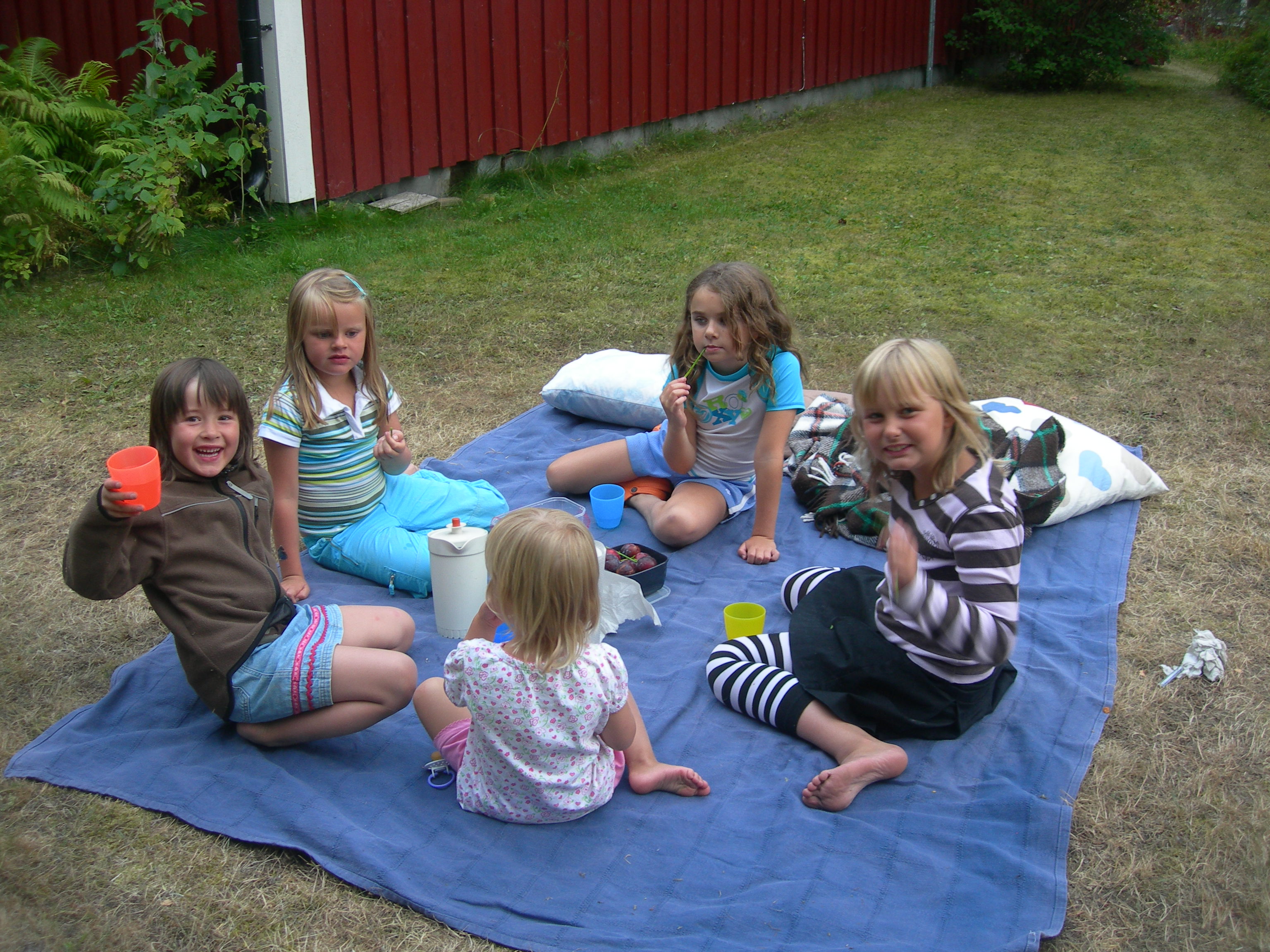 Picknick with Swedish cousins and a neighbor