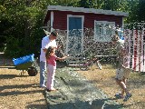 Hundreds of Herrings in a net