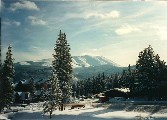 Swedes in Breckenridge Christmas Spreak, a view