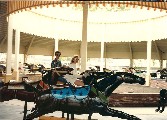 Linda and Richard Tomazin on a Carousel