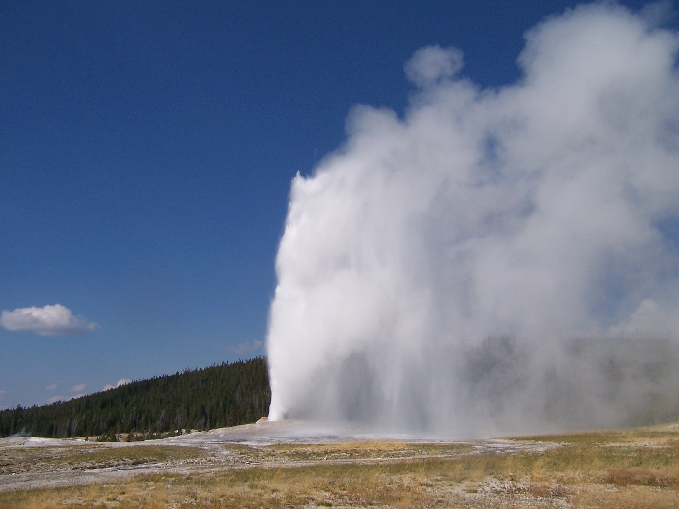 Old Faithful erupts like a clock, around every 1½ hour