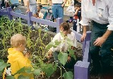 Jacob learns about plants at Magic Kingdom, Disney World